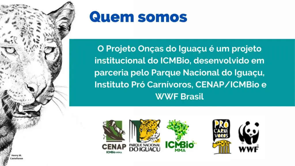 Projeto Onças